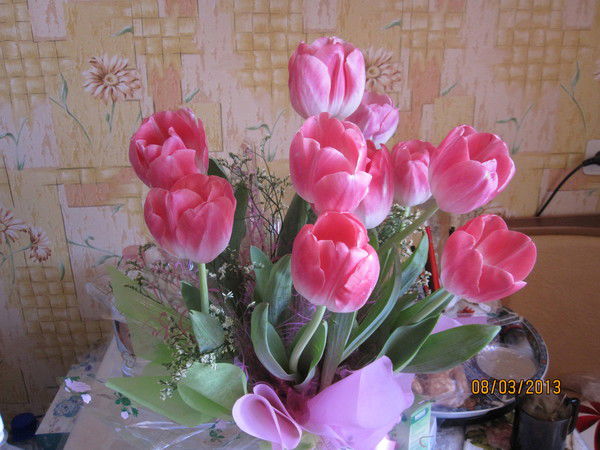 Светлана Лана