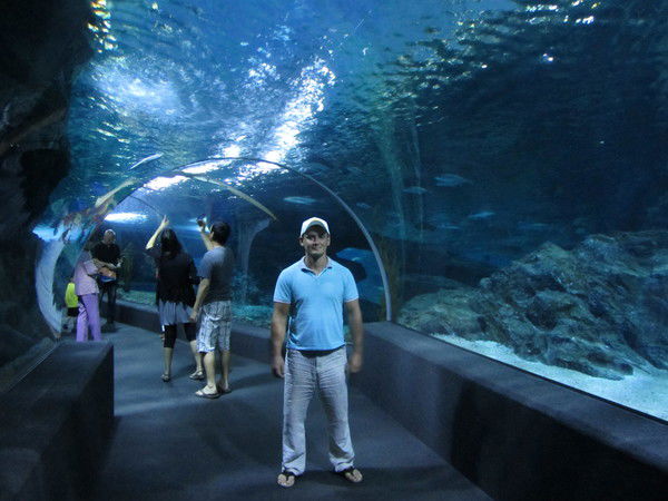 Сергей Серегин