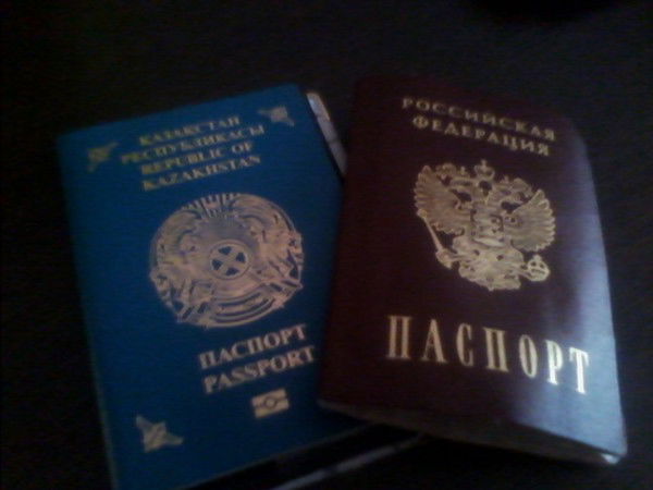 Анна Кузнецова