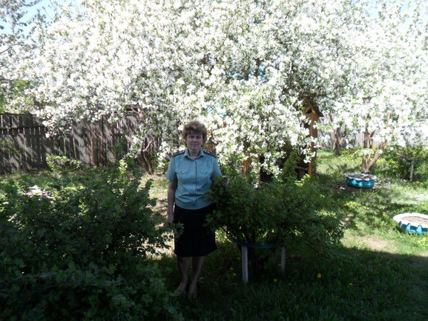 Татьяна Мокрецова