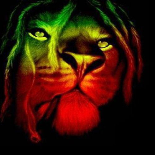 Денис Заречнюк