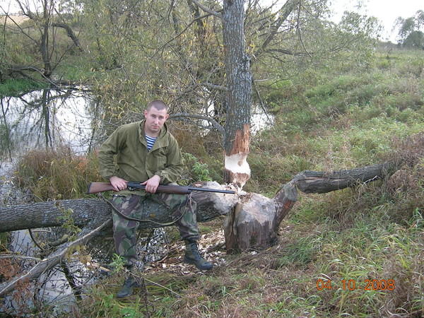 Александр Коренев
