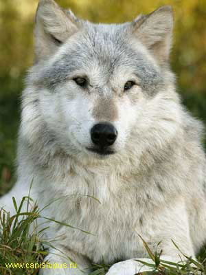 Наталья Ухина