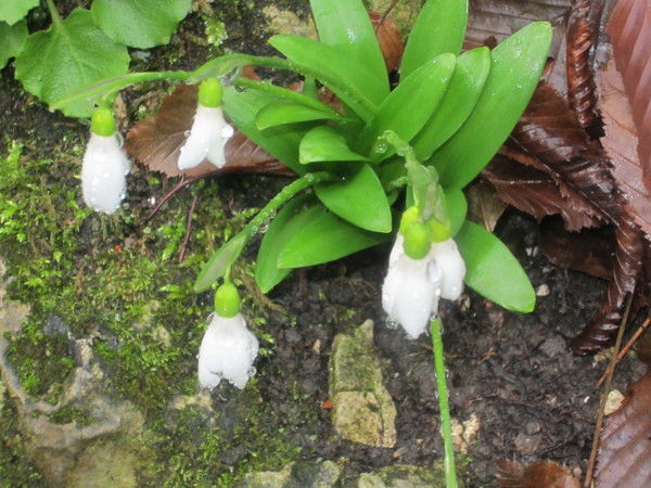 Оксана Калугина