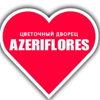 Azeriflores.ru Доставка Цветов В Хабаровске