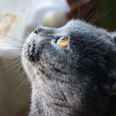 Татьяна Потапова