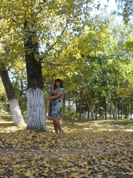 Ксения Швед