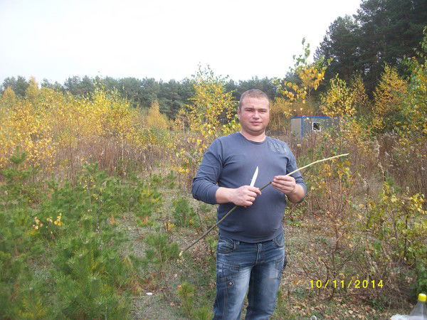 Александр Серов