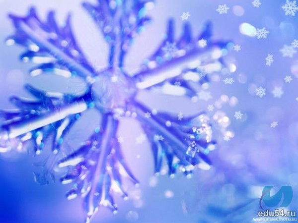 Ольга Садовская