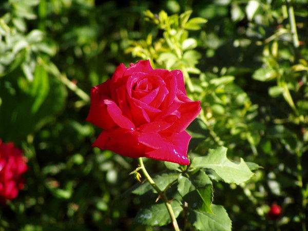 Жанна Мауытова