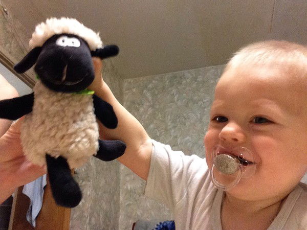 Светлана Шустова