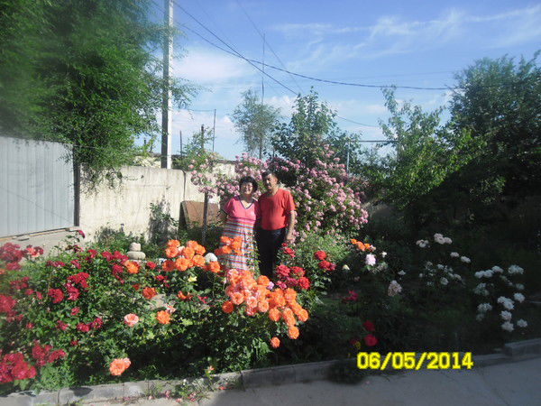 Токтар Махадил