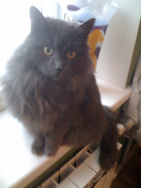 Александр Маришкин