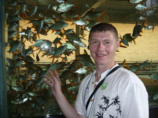 Андрей Кузнецов