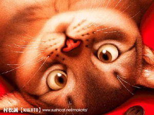 Анна Петрина