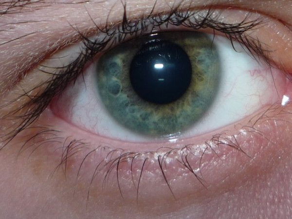 Дамир Кудряков