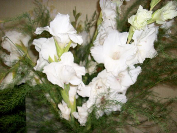 Люба Махнева