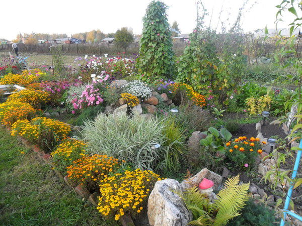 Анна Сырейщикова