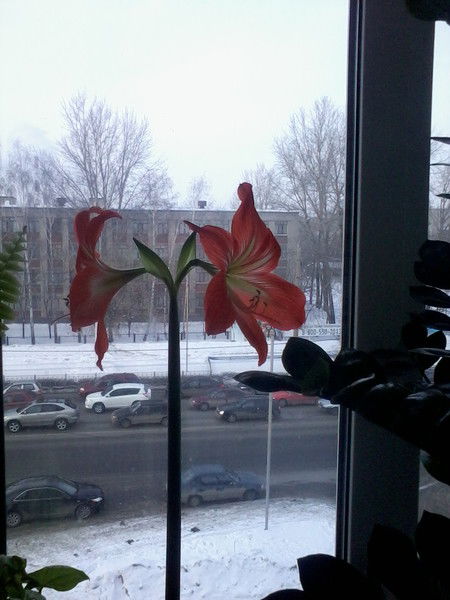 Владимир Деркач