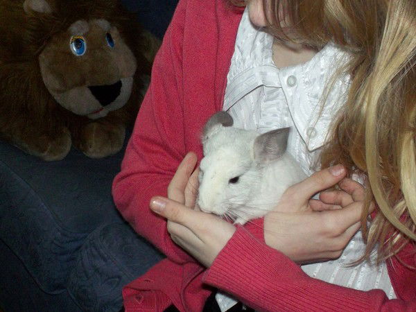 Настя Велтистова