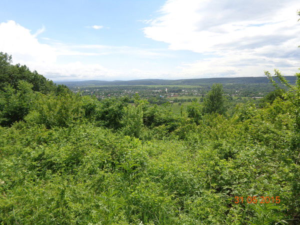 Светлана Пашкова