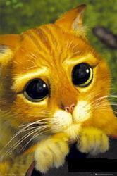 Андрей Голчин