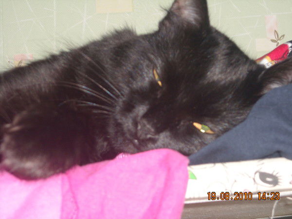 Анна Марусова