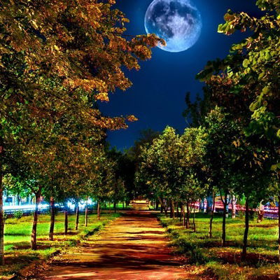 Юрий Баардзе