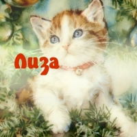 Лизка Бахтина