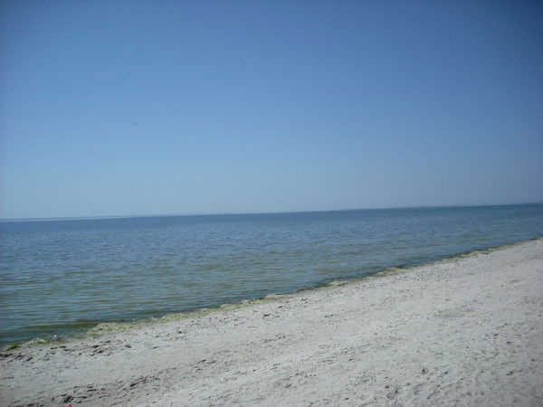 Александр Слободянюк