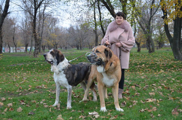 Анжелика Васильева