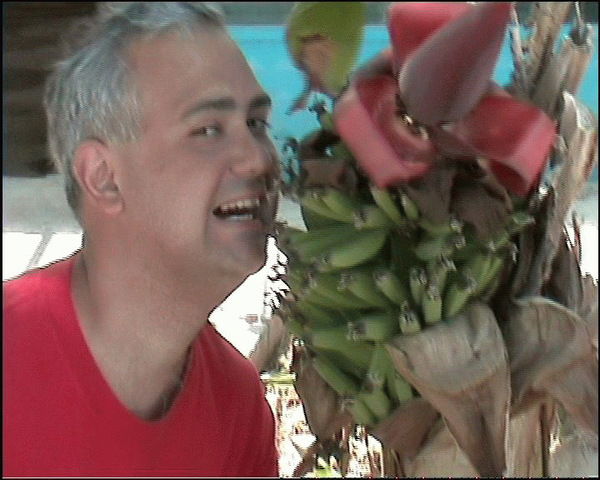 Александр Лазарев