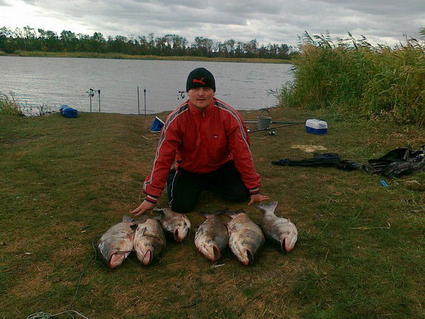 Виталий Махлинец