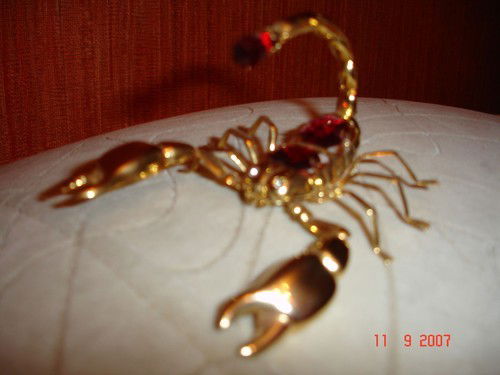 Дмитрий Ячевский