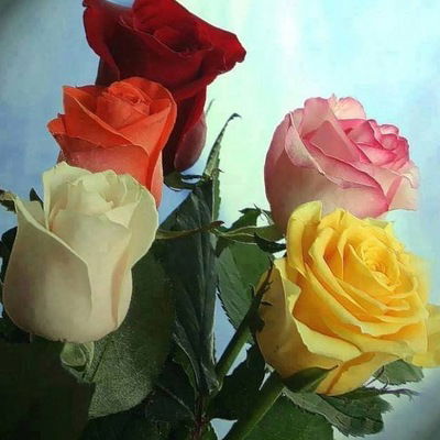 Юлия Костюк