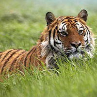 Марина Фетисова