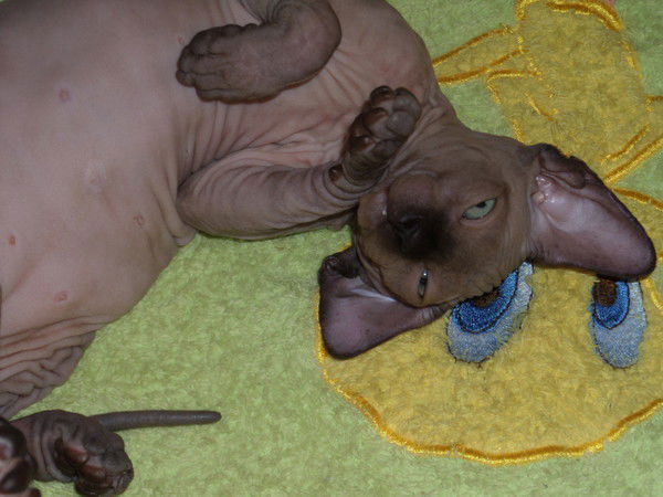 Юлия Сидорова