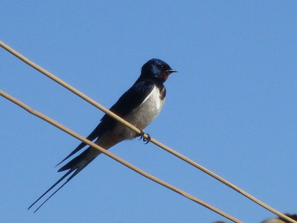 Татьяна Курбатова