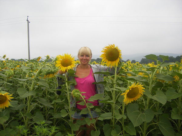 Елена Васильева