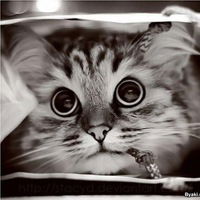 Катя Смаева