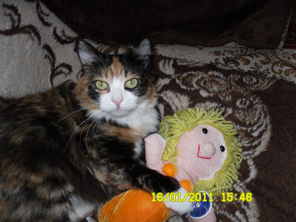 Наталья Захарова