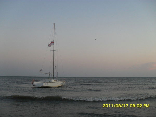 Света Борис