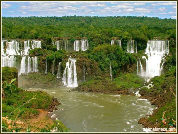 Дастан Абдикаликов