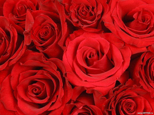 Гульвира Кажмуратова