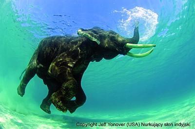 Наталия Винтенкова