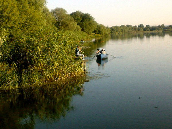 Ольга Шляхтина