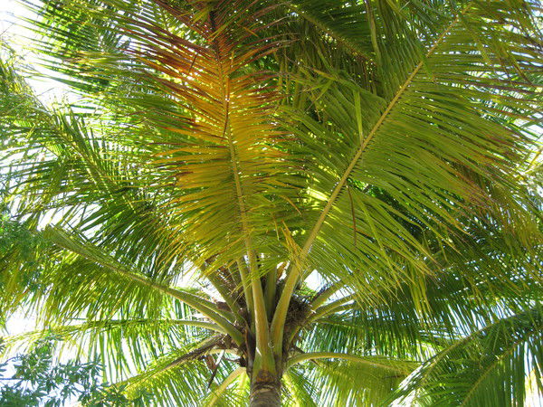 Наталья Тиунова