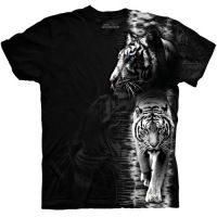 Михаил Динбилянец