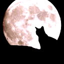 Евгений Сивков