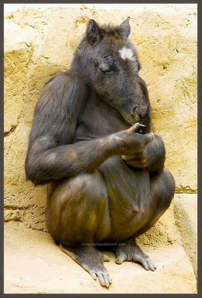 Саша Торопов